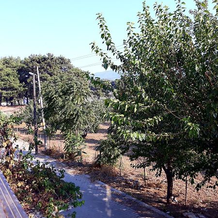 Can Efes Hotel Selçuk Buitenkant foto