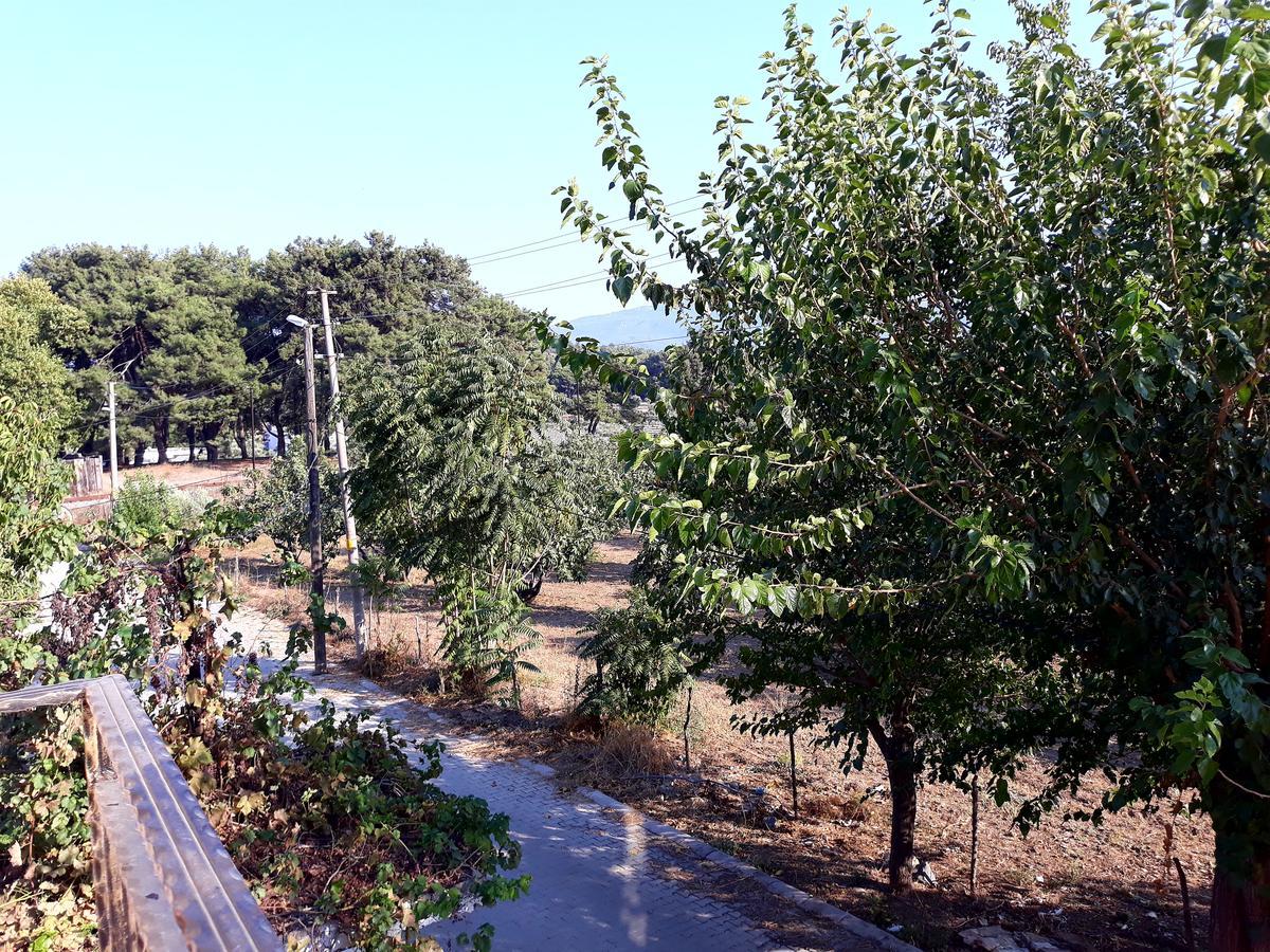 Can Efes Hotel Selçuk Buitenkant foto